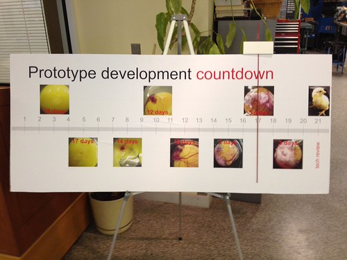 Final Countdown!